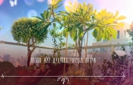 אחזקת גינות שוטפת