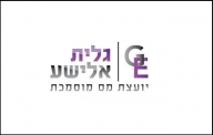 יועצת מס מוסמכת